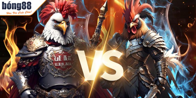 Đá Gà BONG88 - Sân Chơi Đẳng Cấp Với Trận Đấu Mãn Nhãn 1 Tổng quan về Đá Gà BONG88