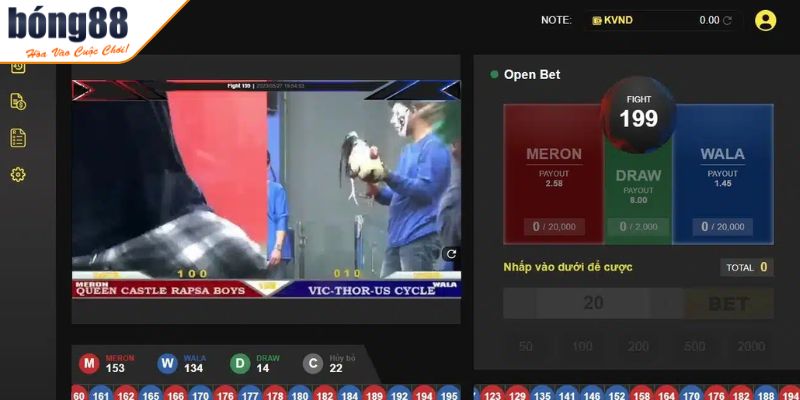 Đá Gà BONG88 - Sân Chơi Đẳng Cấp Với Trận Đấu Mãn Nhãn 2 Vô vàn hình thức Đá Gà BONG88 hấp dẫn