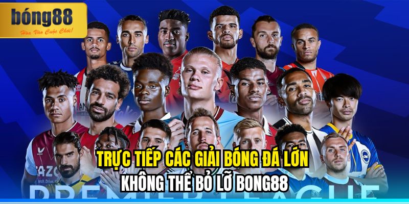 Trực tiếp các giải bóng đá lớn BONG88